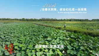 《新沂蒙》：沂蒙山的山水依然古老，住在这里的人给这片山水注入了新的生机