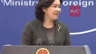 华春莹添新职务：中国—中东欧国家合作秘书处秘书长