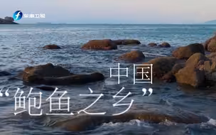 【渔港走透透】寻味中国“鲍鱼之乡”