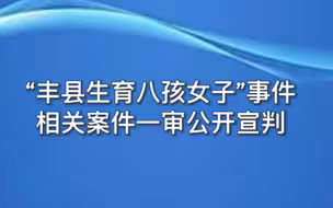 “丰县生育八孩女子”事件相关案件一审公开宣判