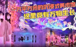 【展览有意思21】一万平方米的沉浸式美术馆，这里竟有万物生长