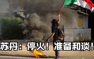 苏丹：停火！准备和谈！