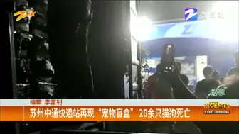 苏州中通快递站再现“宠物盲盒”  20余只猫狗死亡