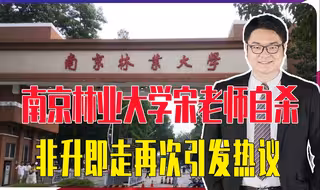 南京林业大学宋老师自杀，非升即走再次引发热议，学术民工不容易