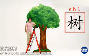 荒漠变森林，中国“种”出了3个法国的面积
