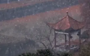终于拥有东北人的快乐！南方多地今喜迎大雪，水墨画般景色宛如仙境