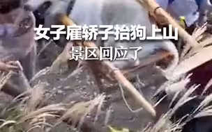 女子雇轿子抬狗上山 景区回应了