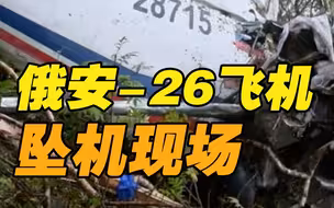 俄坠海飞机最新现场：飞机残骸被冲上岸 搜救仍在继续