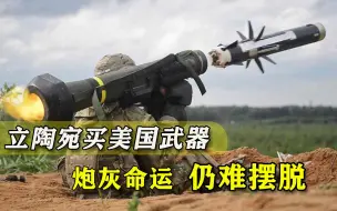 立陶宛砸一亿美元买武器，还要自断臂膀，讨好拜登也难逃炮灰命运