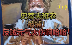 班农被捕，中饱私囊。反贼噤声，大快人心！