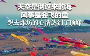 天空是倒过来的海 风筝是会飞的鱼 想去潍坊看风筝的心情达到了顶峰！