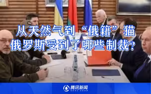 从天然气到“俄籍”猫，俄罗斯受到了哪些制裁？