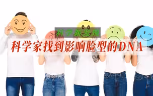 科学家找到影响脸型的DNA