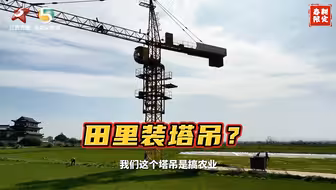 10亩田秧盘5分钟搬完？当工业塔吊遇上育秧抢农时，机械化春耕简直太轻松！  #向新而行 #中国新力量
