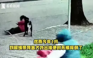 视障阿姨因导盲犬排尿被邻居投诉2年 各方都有委屈