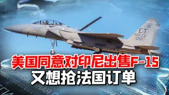 吃相全无！美又想抢法国订单，不料法国女总统候选人放话退出北约