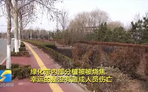 燃放烟花爆竹引燃路边绿化带 诸城消防提醒这些事要注意