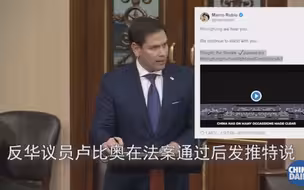 美国请你听听香港的这些声音：卢比奥，香港的这些声音你可也听得到？