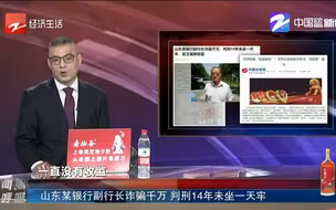 山东某银行副行长诈骗千万 判刑14年未坐一天牢