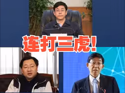 1月5日，中央纪委国家监委网站发布消息，连打三“虎”