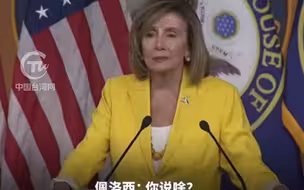 外媒称佩洛西利用丈夫进行大量股票交易获利