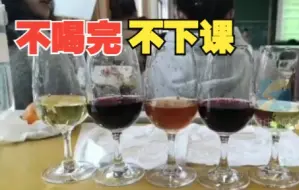 酿酒专业一节课喝掉二三十箱酒 都是教具不需要额外收费
