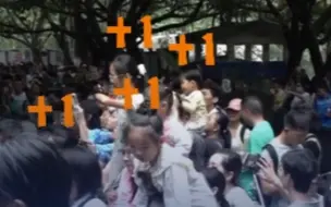 最佳熊猫观赏位在爸爸的肩上 网友：终究是爸爸扛下了所有