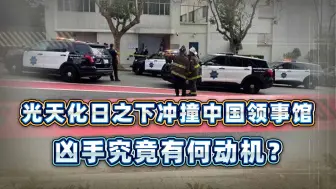 找死！光天化日之下冲撞中国领事馆，凶手究竟有何动机？