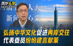 弘扬中华文化促进两岸交往 代表委员纷纷建言献策