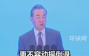 王毅：对于历史、台湾等问题，不能丝毫含糊，更不容动摇倒退