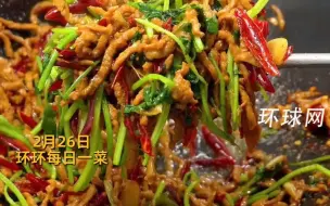 【环环每日一菜】教科书级下饭菜！香辣肉丝香到舔盘的神仙做法