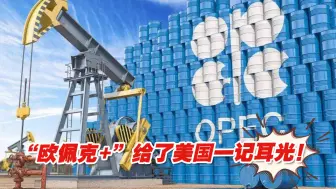给了美国一记耳光！“欧佩克+”决定自11月起大幅减产