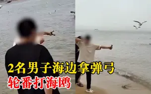 2男子海边拿弹弓轮番打海鸥，派出所：正在找人，找到会处罚