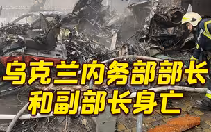 乌克兰内务部部长和副部长在直升机坠毁事件中身亡 已造成18人死亡包括3名儿童