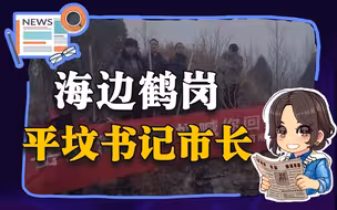 【参考信息第22期】海边鹤岗；平坟书记市长