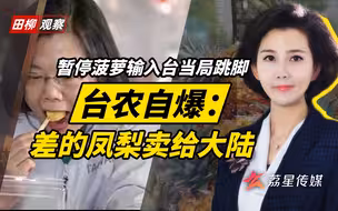 暂停台湾地区菠萝输入大陆引当局跳脚，台农自爆，小英吹澳