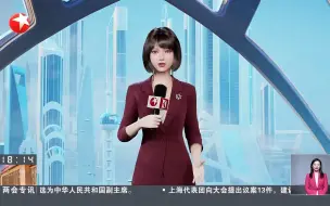 视频 | 两会观察⑤丨用合力巧劲让数字经济“跑起来”