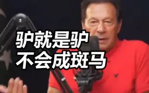 讲述从未把英国当做真正的家，伊姆兰•汗一语走红：驴就是驴，不会成斑马！