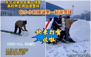东北下雪了！穿短袖的南方同学们快来一起打雪仗