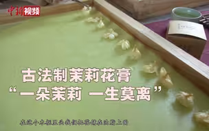 “人间第一香”带你观摩古法制茉莉花膏！