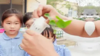 有趣！丽水这些师生们在宿舍楼的护栏上种上了菜