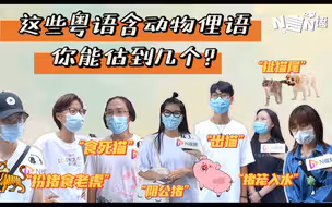 “母老虎”的粤语原来这样说！