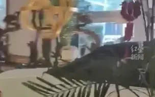男子驾车直接冲进酒店大堂，警方：自称住店时遗失电脑，目前已被控制