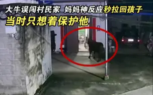 大牛误闯村民家 妈妈神反应秒拉回孩子：当时只想着保护他