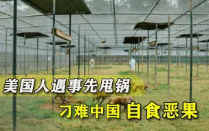 要中国违背法律去救美国人？美媒又危言耸听，霸主之梦还是没醒
