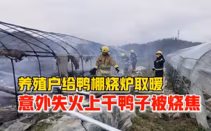 鸭棚烧炉取暖失火上千鸭子被烧焦，消防员徒手拎出煤气罐迅速灭火