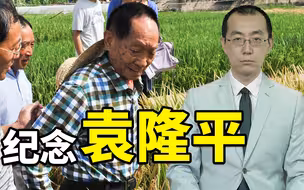 【懂点儿啥】让中国人吃饱饭，一共分几步？