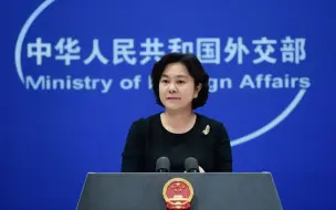 美欲新设职位调查中国赴美留学生  华春莹：恐怕新设56个特工职位不够吧？