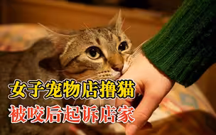 女子宠物店撸猫被咬起诉店家，索要打狂犬疫苗相关赔偿获法院支持