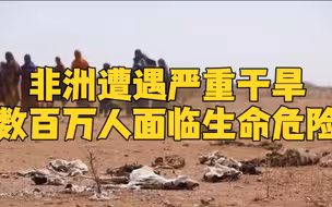 非洲遭遇严重干旱 数百万人面临生命危险